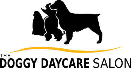 The Doggy Daycare Salon Greenslopes Dog Day Care Brisbane Southside Dog Sitting & Boarding